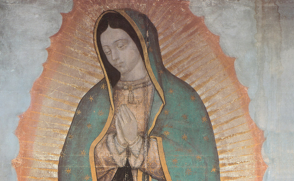 Our Lady of Guadalupe Canvas Logo